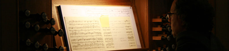 Jürg Schmid an der Orgel